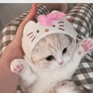 Kitty Pet Headscarves Hats KI355