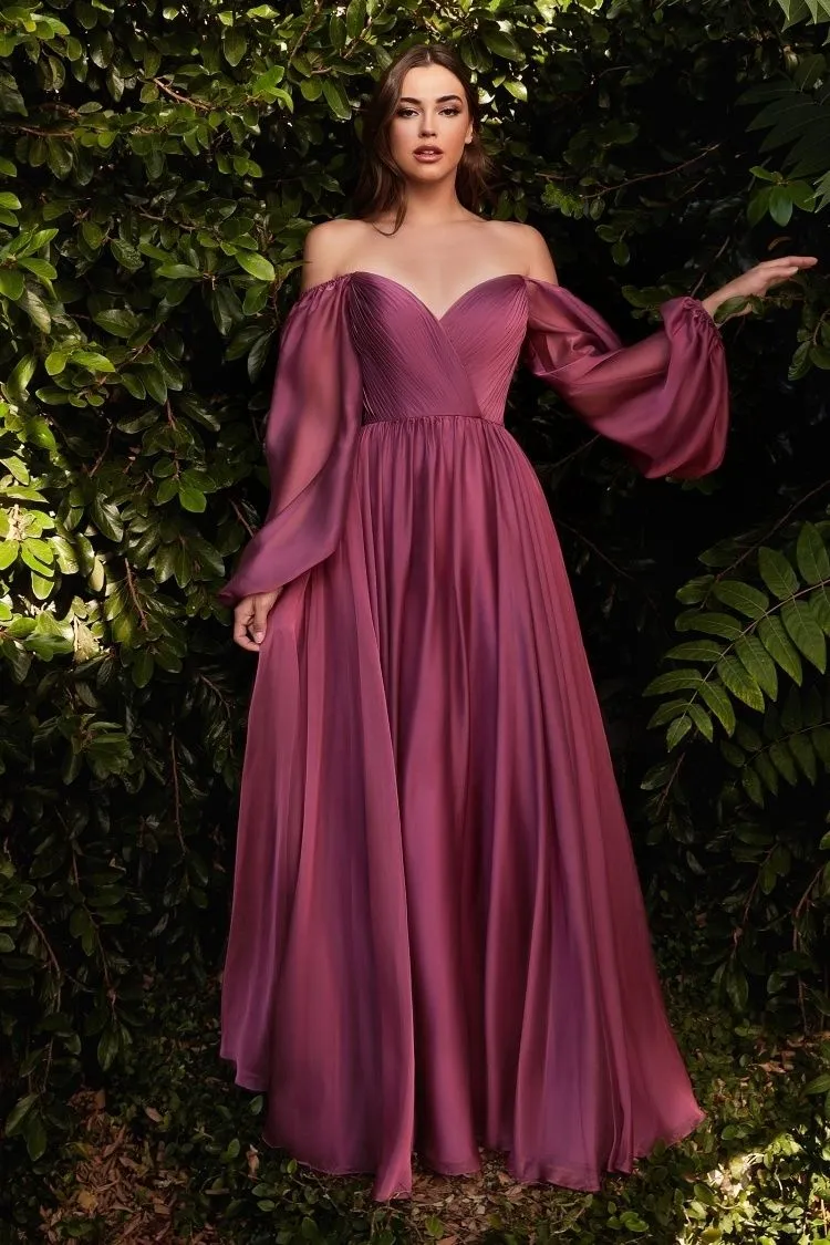 LONG SLEEVE CHIFFON A-LINE DRESS